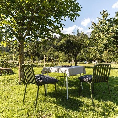 Iselhof Lägenhet Lienz Exteriör bild